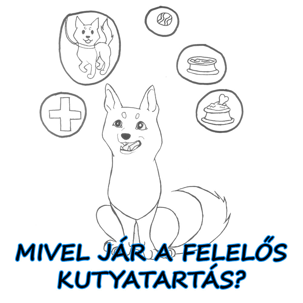 01-felelős-tartás