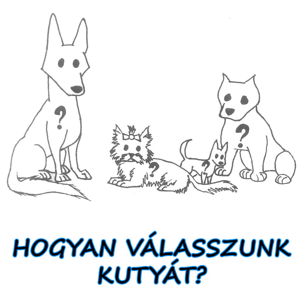 02-kutyaválasztás