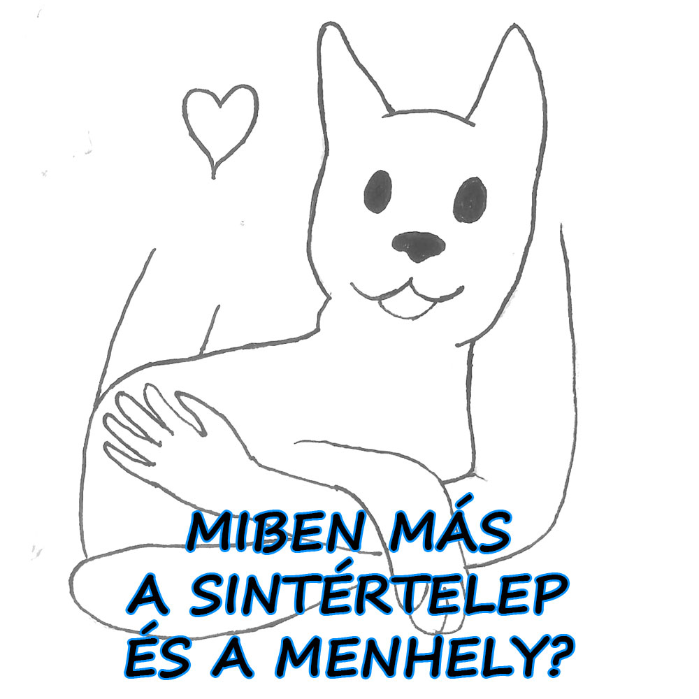 04-gyepi-menhely
