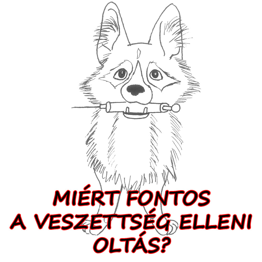 05-veszi