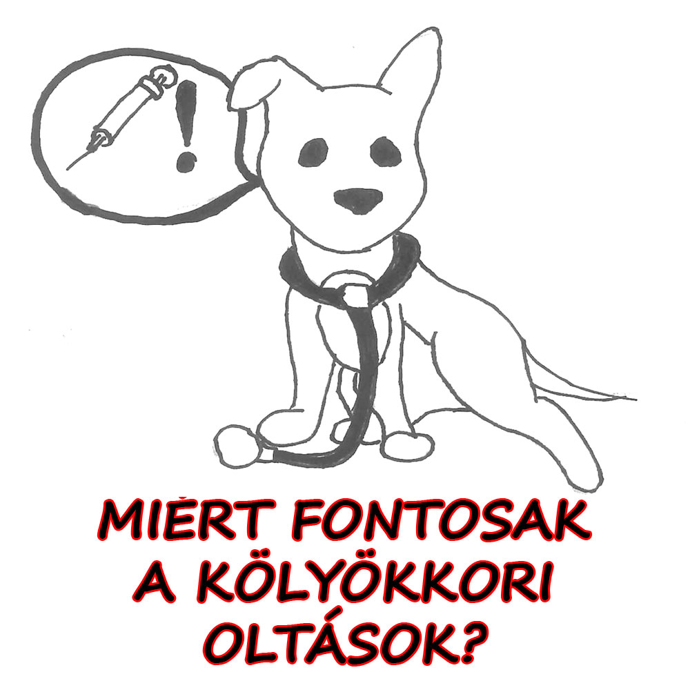 07-kölyökkori