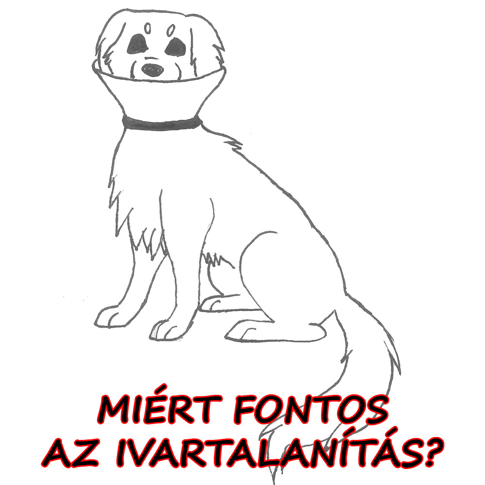 08-ivartalanítás