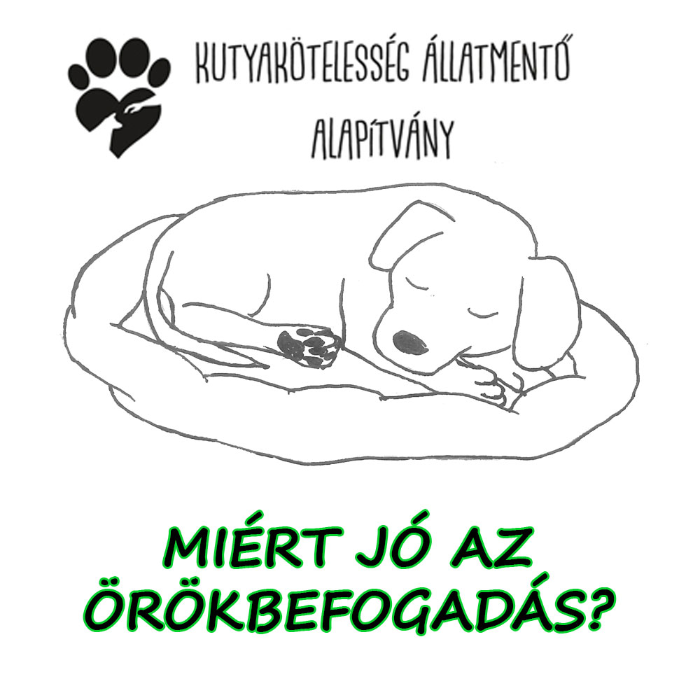 2 miért-jó