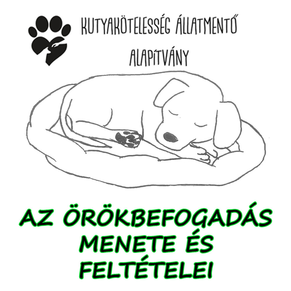3 örökbefogadás
