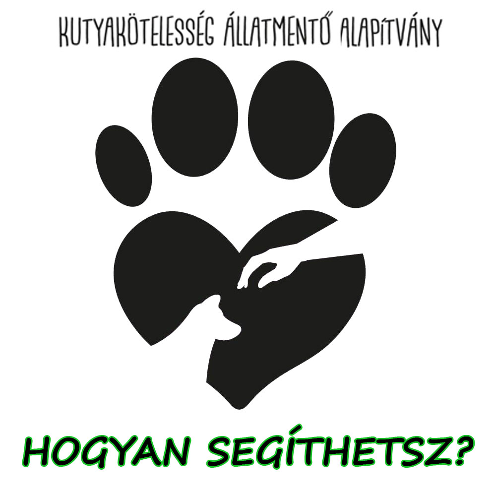 5 segítség