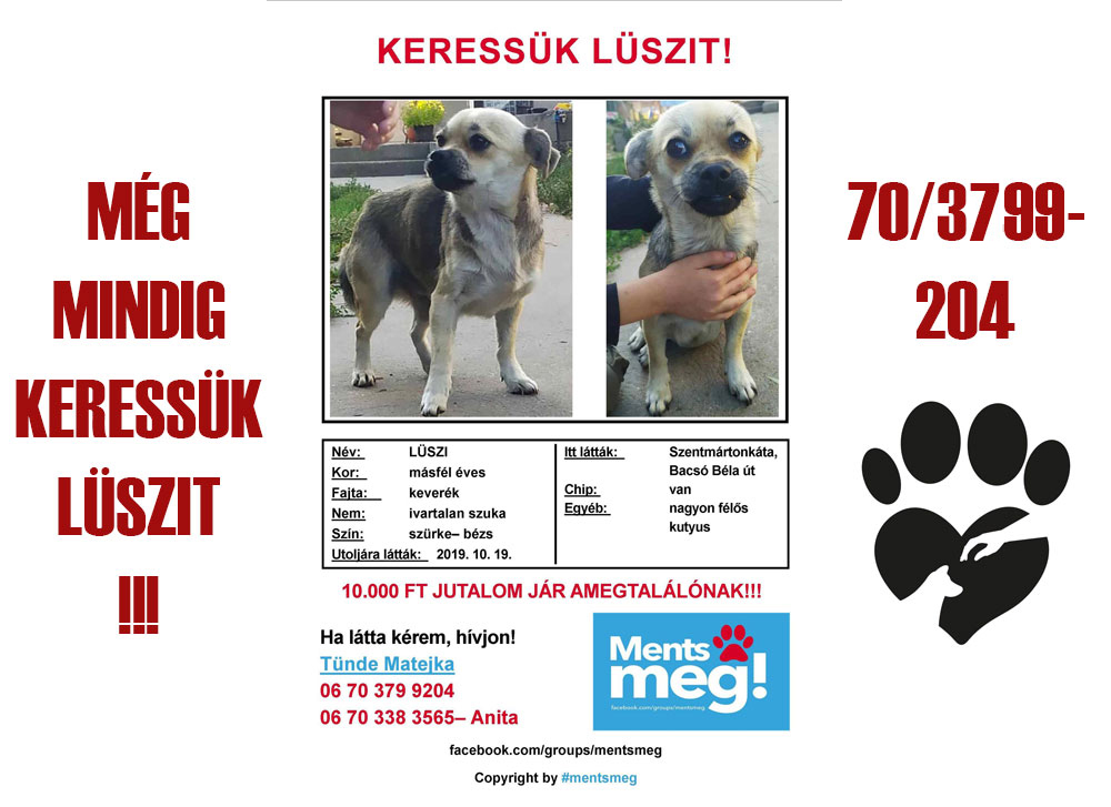 Lüszi Lüszi