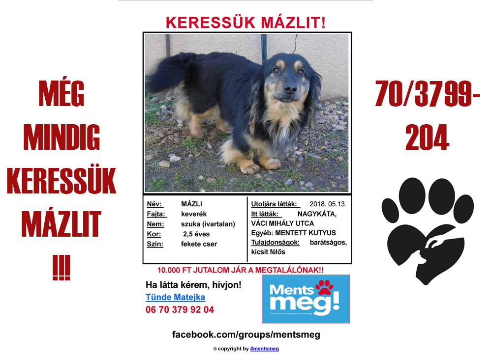 Mázli Mázli